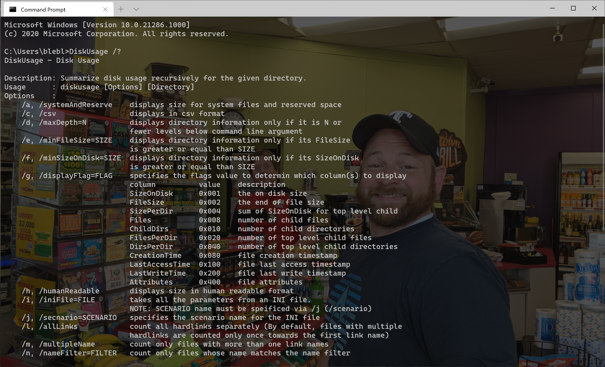 Windows 10 Insider Preview Dev Build 21286.1 (RS_PRERELEASE) - Jan. 6 diskusage.png