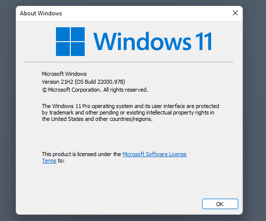 Find out for how long your Windows 11 version is supported display-windows-11-version.png