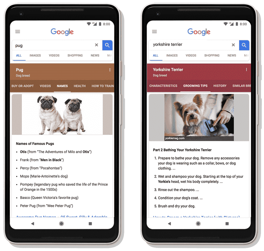 New Activity Cards, Collections, and more features in Google Search Dogs_composite.max-1000x1000.png