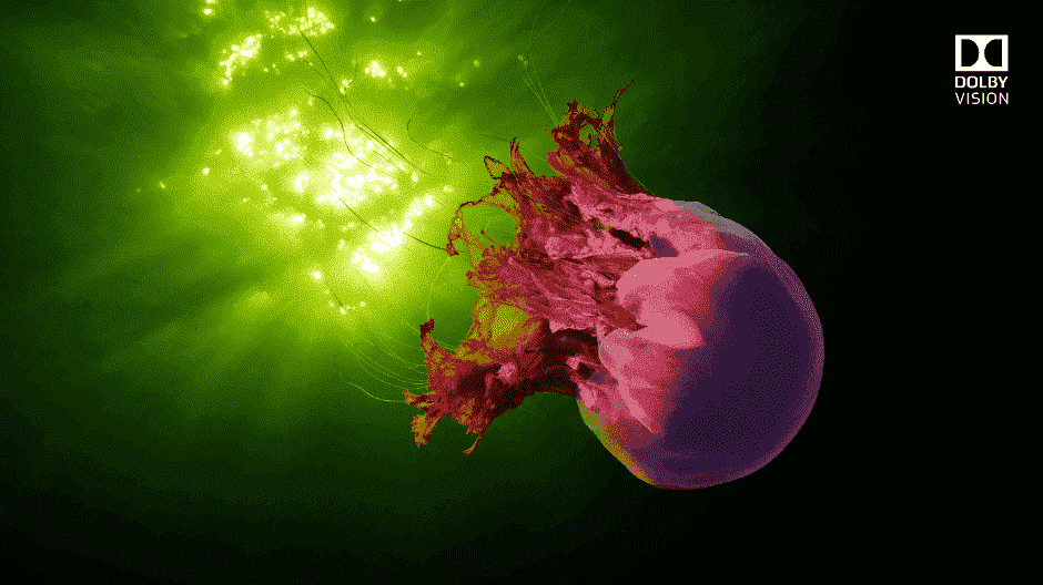 Microsoft Brings Dolby Vision to Xbox One DolbyVision_940-hero-1.png