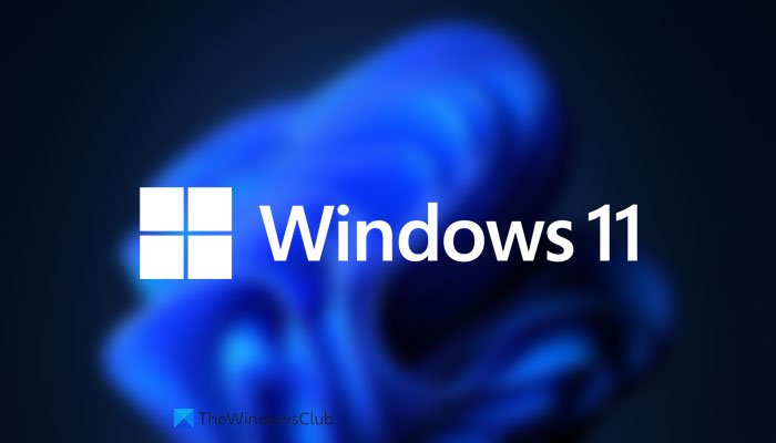 Download Windows 11 Disk Image (ISO) file from Microsoft download-windows-11-disk-image-iso-3.jpg