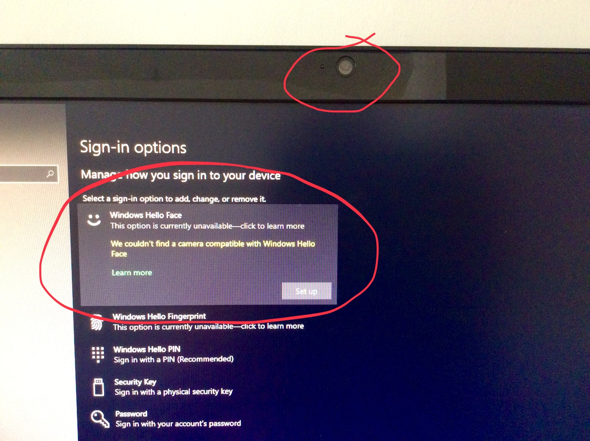 Windows Hello Face e10bead1-c0f3-4c3c-a126-5611d9ed2f25?upload=true.jpg