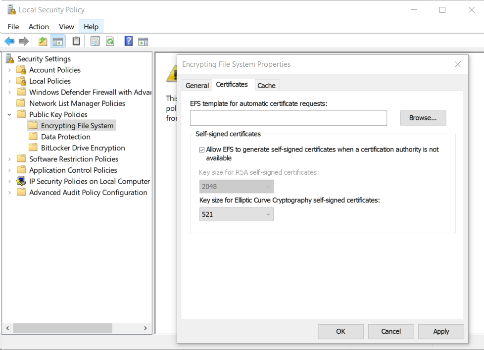 Create EFS certificate with custom cipher options e24e52a2-84ad-49cd-a9e0-2065b8471ca6?upload=true.png