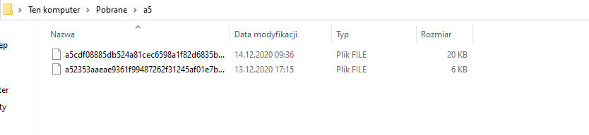 Werid folders and files in the downloads folder e4715619-9f35-4022-b268-ad938aa994b4?upload=true.png