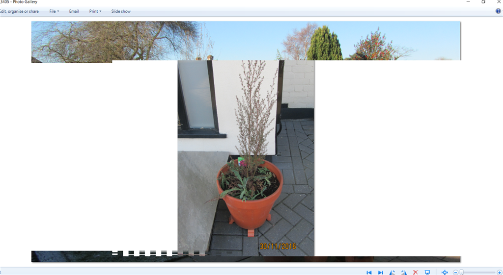 When I turn on my laptop, a photograph from my gallery pops up before I'm prompted for my... e719d570-ad62-488f-afc6-d410d3dcbc98.png