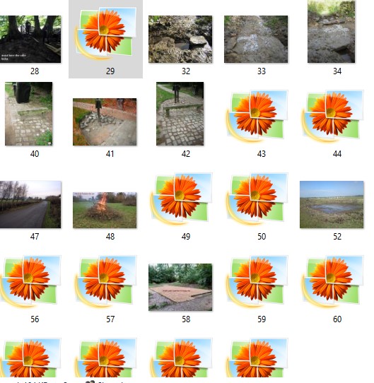 problem photos images not displaying e83b000c-9d55-4d37-be5c-557c1338eaf9?upload=true.jpg