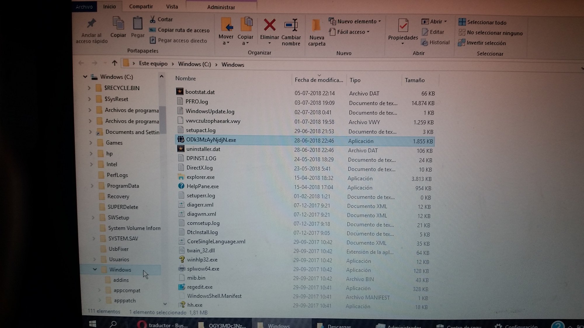 NTAyMjEwZG.exe, ODk3MzAyNjdjN.exe, ZDfhMzAyMTUzNzE1MG.exe should I delete this files? They... e89e3c88-61d5-400c-84fb-23509acc0d80?upload=true.jpg