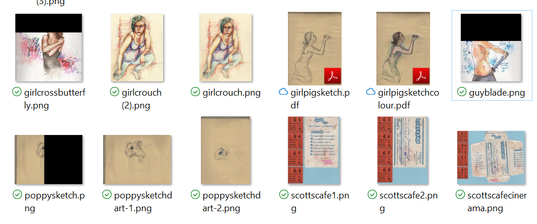 Some of my files became blacked out e907134b-e2dc-4443-bb5b-7be7e6438f42?upload=true.png