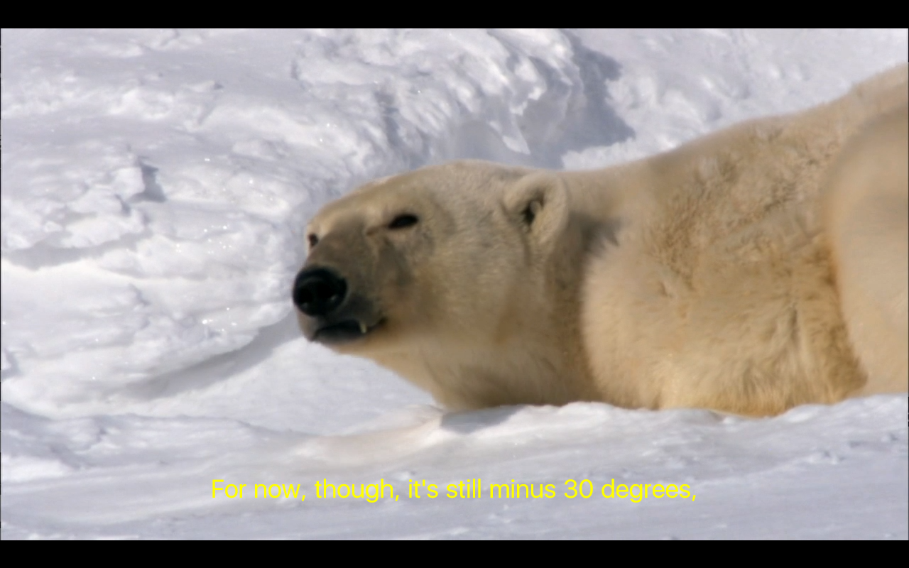 Chrome to support Windows 10’s system styling for captions in videos ea0947f1-6916-469b-8b21-776d6267222c?upload=true.png