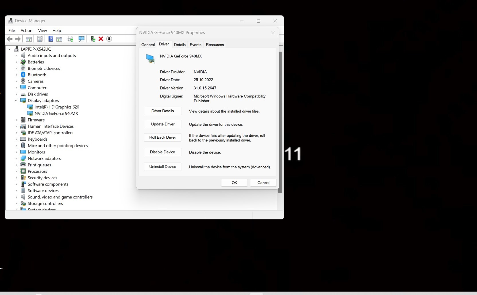 Installed Nvidia Geforce WHQL Stable driver v528.24 on Windows 11 Enterprise 64bit build no... eb8913fa-bc0c-4ba4-bfdc-f82e11b7e411?upload=true.jpg