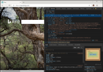 List of DevTools in new Microsoft Edge (Chromium) Edge-Chromium-DevTools-150x105.png