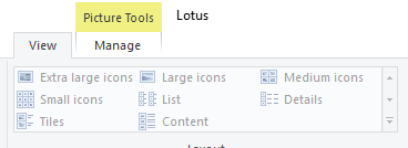 is there any way to force explorer to rebuild thumbnail cache for a single folder? EDhAz.png