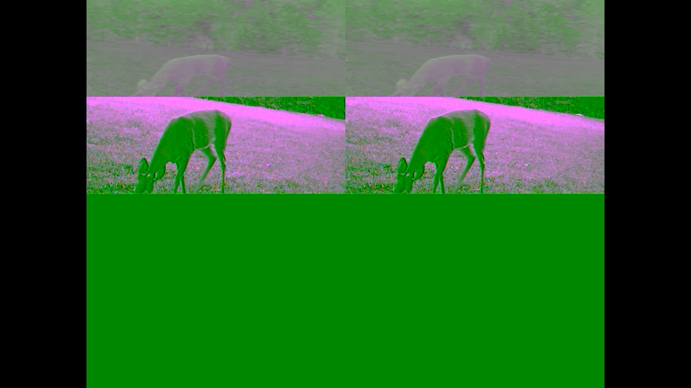 AVI video playback ee53cca5-6586-4ca4-9fd3-69f94ebbf77d?upload=true.jpg