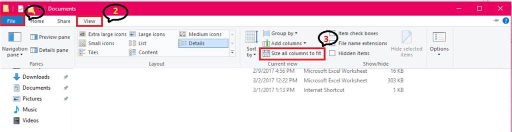 How to change the Column Width size of File Explorer in Windows 11/10 eeea339d-a1e0-4522-afe3-31f32bb87c65.jpg