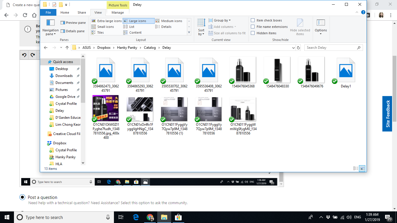 JPEG Photo Cannot Be Viewed on My Laptop ef2e8027-cc2a-4a9a-be72-1296e3bb95ea?upload=true.png