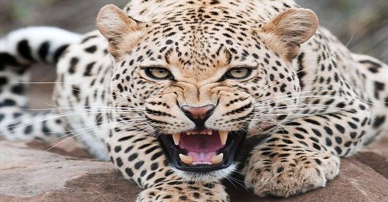 Sau khi máy tính gặp sự cố, màn hình chuyển sang màu đen và tự động khởi động lại ef6bdfdd244392b00d310f977e047625.jpg