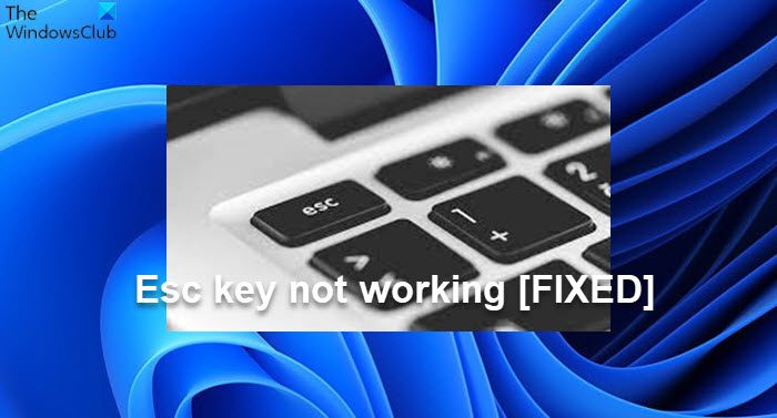 Esc key not working in Windows 11/10 Esc-key-not-working.jpg