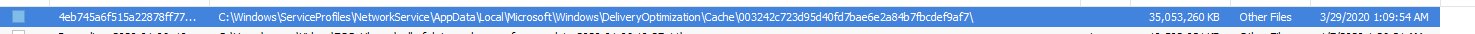 Huge "cache" file, is it safe to delete? f43b31db-5903-448f-9fdf-b0447e4e9c8e?upload=true.png
