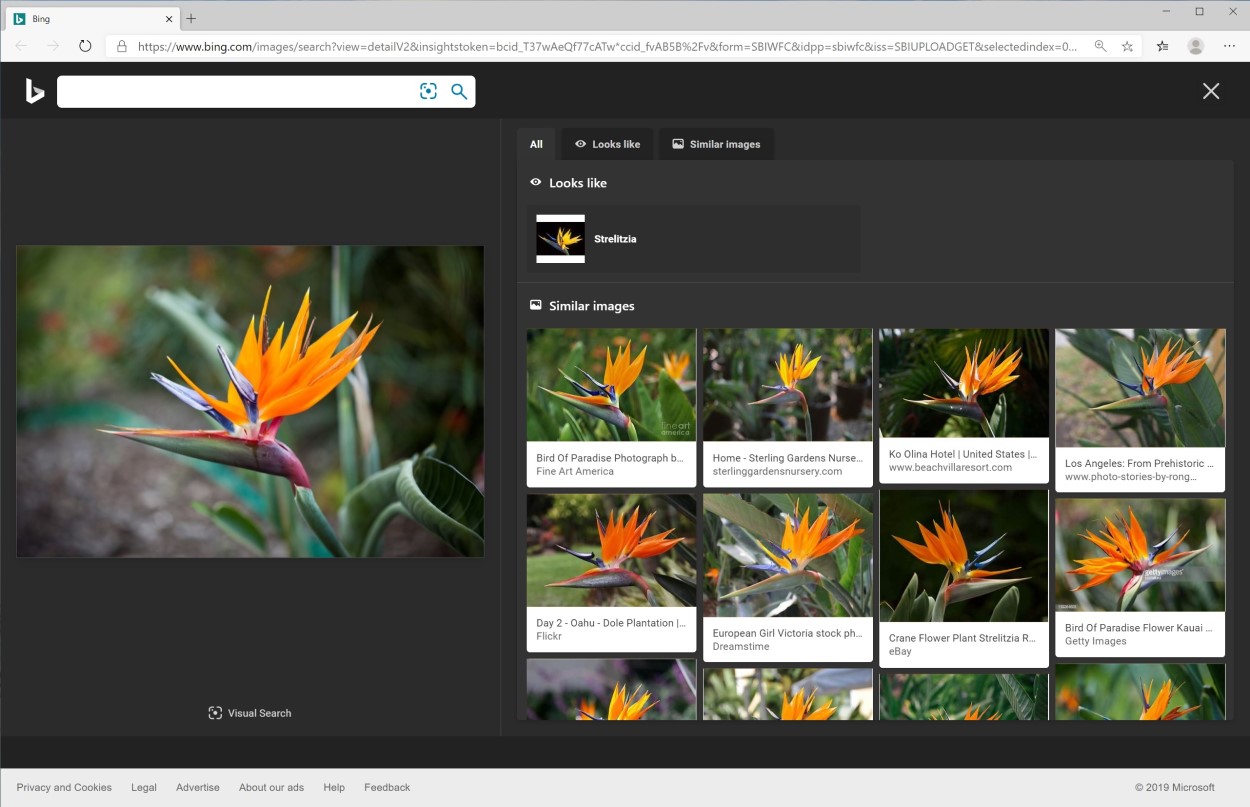 Bing visual search has dissapeared from Windows 10 f6634952c46d4420ad999d31187104e1.jpg