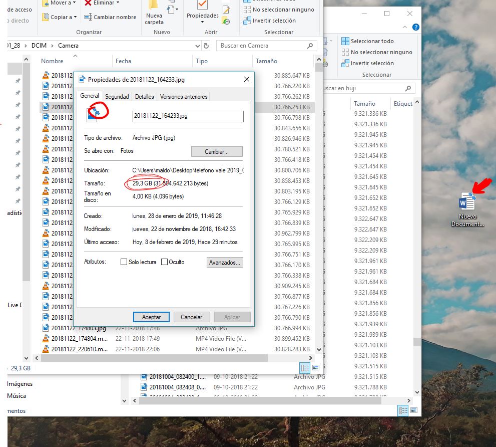 files changed size (from 4 MB to 30 GB) when transfering from phone f75541c8-1f58-4d60-9a90-3450506ec775?upload=true.jpg