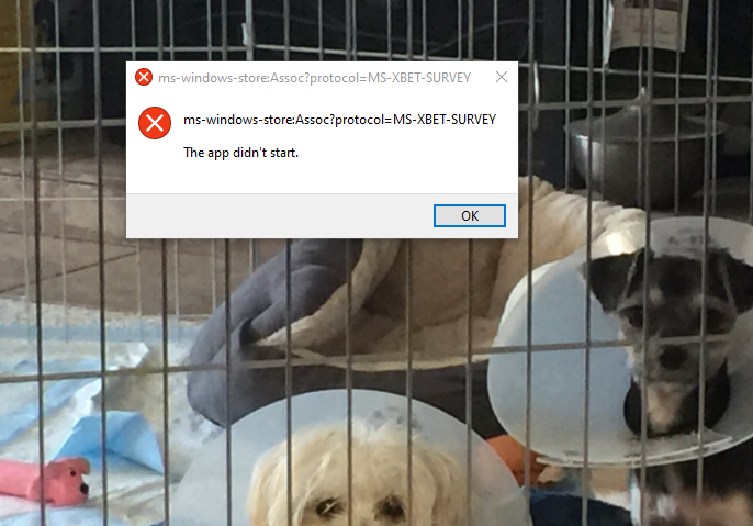 Windows store won't start f7daa467-5617-4ca3-bc84-dd39b0c08133?upload=true.png