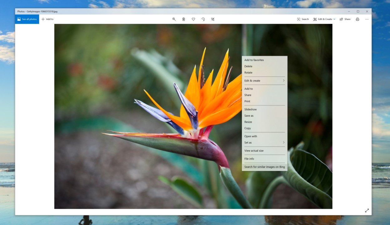 Bing visual search has dissapeared from Windows 10 fa1e1584d030eb3d9efa0b186ef0473d.jpg