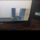 Webcam shows in bottom of all monitors, even when unplugged. Can't close this screen or... fBFfVZC1-bKN94uesN_-MSPfZPpR2jbixNY3eRs2s_k.jpg