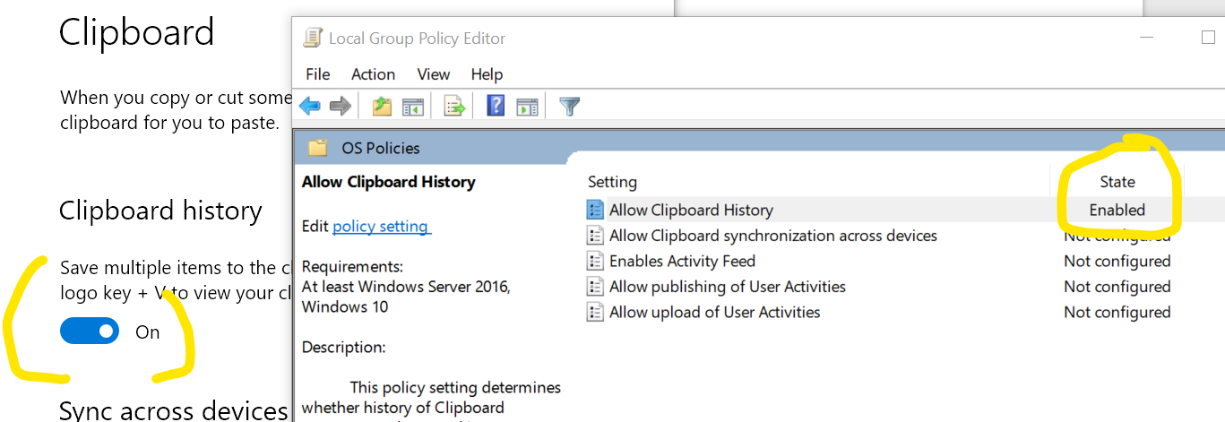 Windows 10 clipboard problems fda666b5-aacf-41d7-af50-f75b6412c9f3?upload=true.png