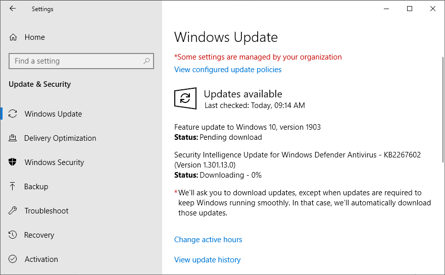 If you are not offered Windows 10 version 1903, try disabling hard drive encryption feature-update.png