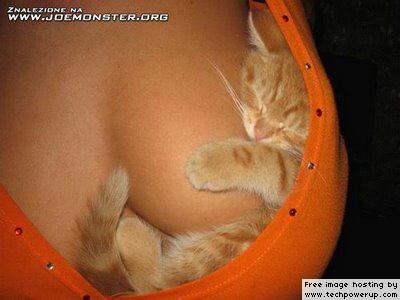Mozilla’s Firefox to be Rebranded with New Icons and more firefox-on-breast.jpg