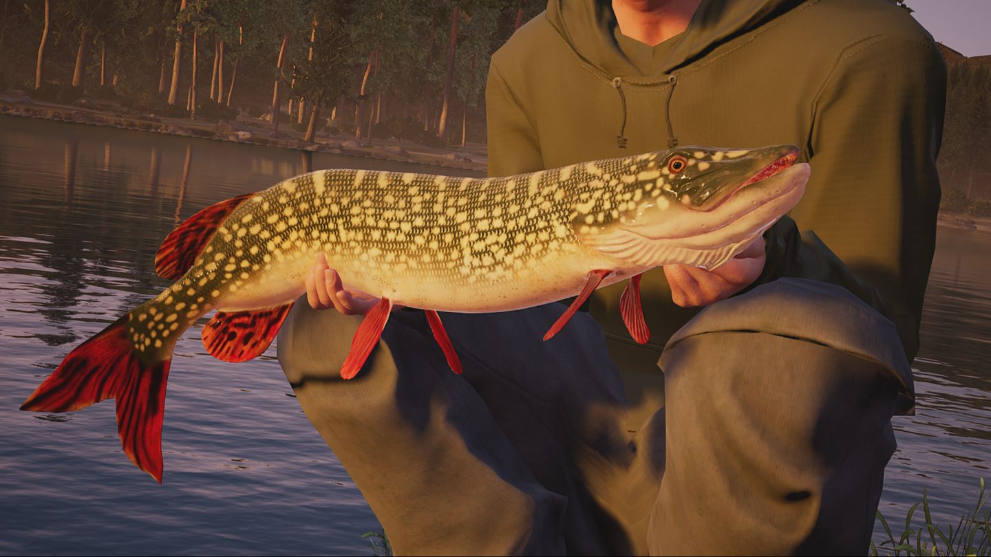Next Week on Xbox: New Games for December 11 to 14 fishingsim-large.jpg