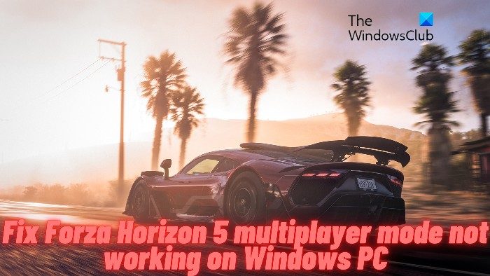 Fix Forza Horizon 5 multiplayer mode not working on Windows PC Fix-Forza-Horizon-5-multiplayer-mode-not-working-on-Windows-PC.jpg