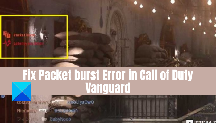 Fix Packet burst error in Vanguard Call of Duty Fix-Packet-burst-Error-in-Call-of-Duty-Vanguard.png