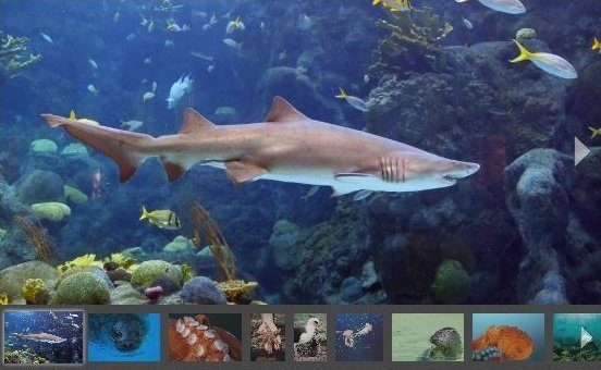 Sway beats OneNote, OneNote has to improve Gallery-Still.jpg