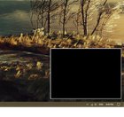 How do I get rid of that black box? Already tried restarting windows explorer. gBhWydBWRmeaic4DlzeHqjR8qoxXlcuFMpkijqesPEs.jpg