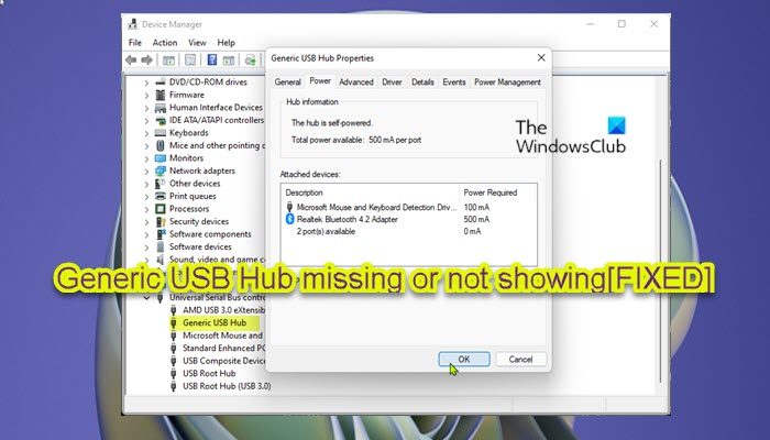 Fix Generic USB Hub missing or not showing in Windows 11/10 Generic-USB-Hub-missing-or-not-showing.jpg