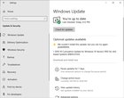 What is Error 0x800f081f when installing KB452355? ggD1oSe84c17AWKD0gXu3glbWkA20ntxUxz5m5aCvtE.jpg