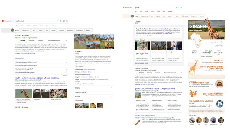 Microsoft Bing now delivers more visually immersive experiences giraffe-new-and-old-answer.png.png