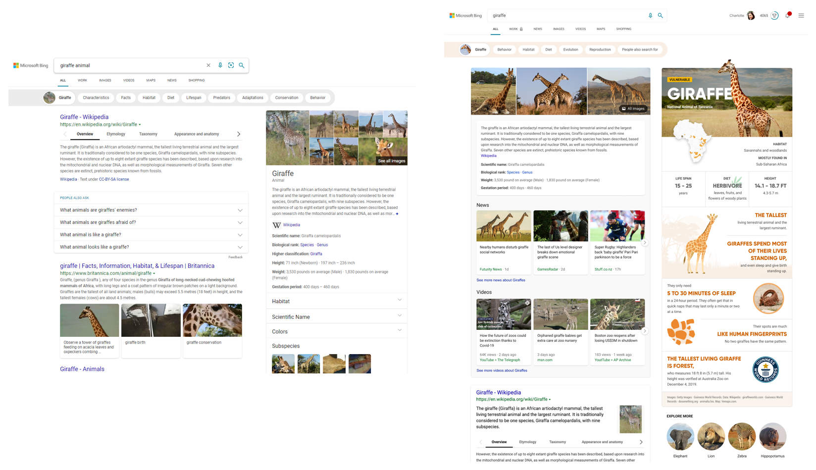 Amp up your performance with Startup boost in Microsoft Edge giraffe-updated-3.3.png