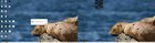 How can i stop windows to screw my monitor drivers? i´m very tired of this. GUsRO5k93A0ev_YvTBQTlINg0YIoFZ65NsGKhzD0Ius.jpg