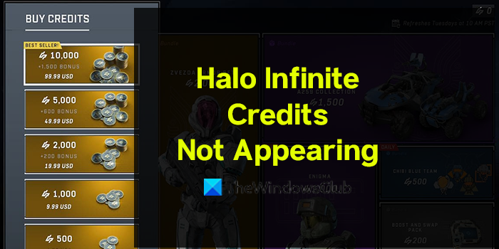 Fix Halo Infinite Credits not appearing in account Halo-Infinite-Credits-Not-Appearing.png