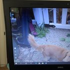 Can anyone help me remove this start menu from my desktop on the left, I can’t see my... Hd5U9H4AJa6ZTN0WIO5pFHNy8ivv65Giwpg2b9UAeYM.jpg