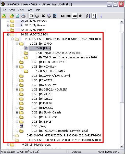 Is it safe to delete the hidden file RiotClientFoundation.dll? HDUsage.jpg