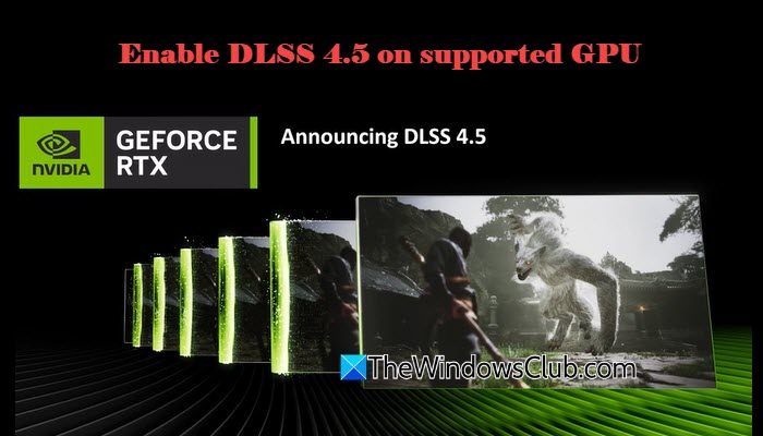 How to enable DLSS 4.5 on supported GPU How-to-enable-DLSS-4.5-on-supported-GPU.jpg