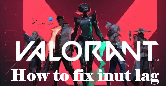 How to fix Input Lag and Reduce Latency in VALORANT How-to-fix-input-lag-in-Valorant.png