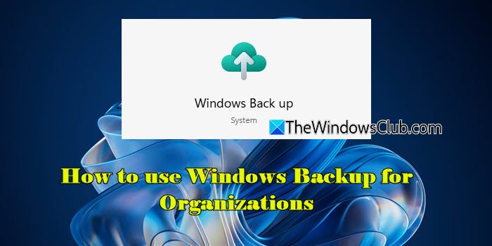 How to use Windows Backup for Organizations How-to-use-Windows-Backup-for-Organizations.jpg