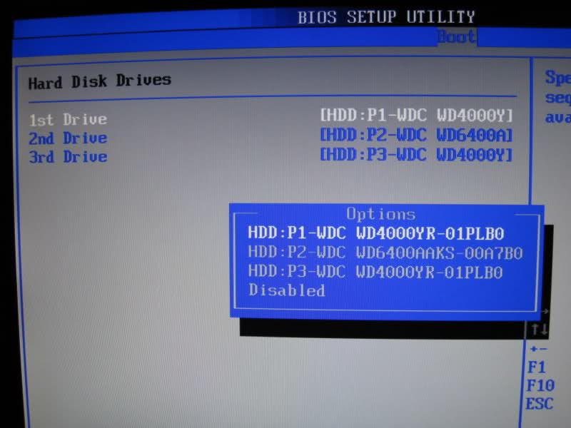 Hard Drive Gone Missing i52nol.jpg
