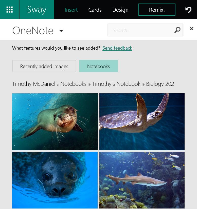 Sway ooohhh yeah Image-3-BLOG.png