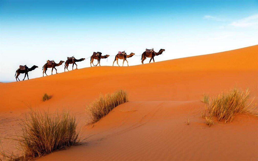 Microsoft releases four new free wallpaper pack for Windows 10 In-The-Desert-wallpaper-pack.jpg