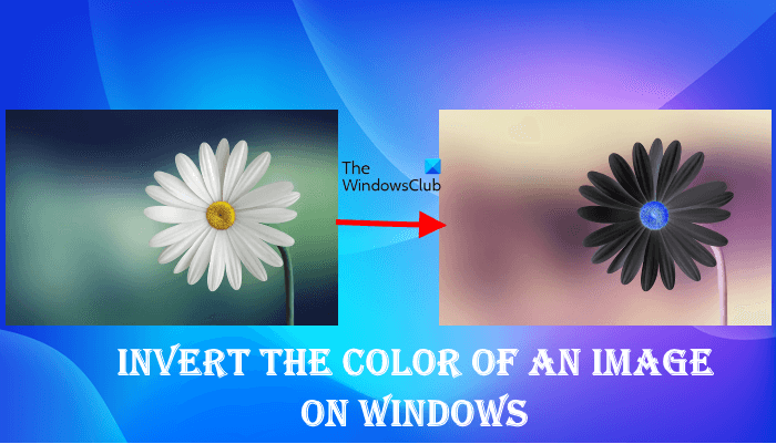 How to invert the color of an image on Windows PC Invert-color-of-image-on-Windows.png